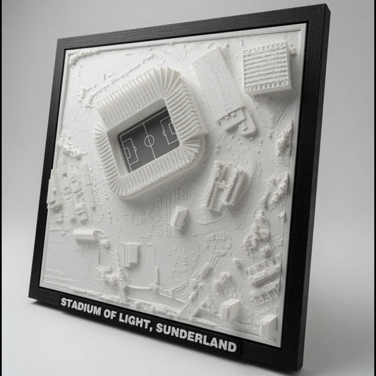 Stadium of Light 3D Map Artwork