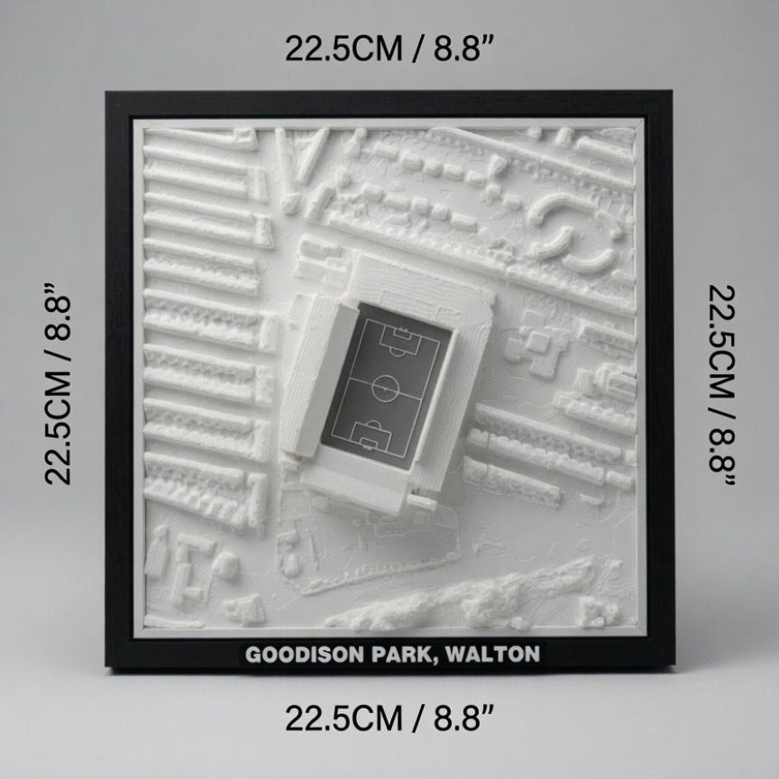 Goodison Park 3D Map Artwork