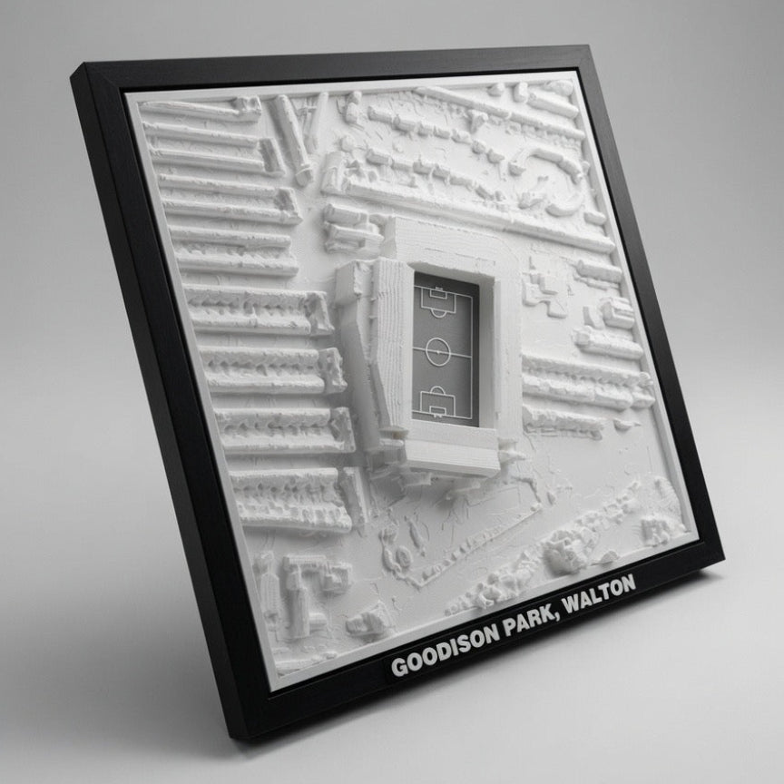 Goodison Park 3D Map Artwork