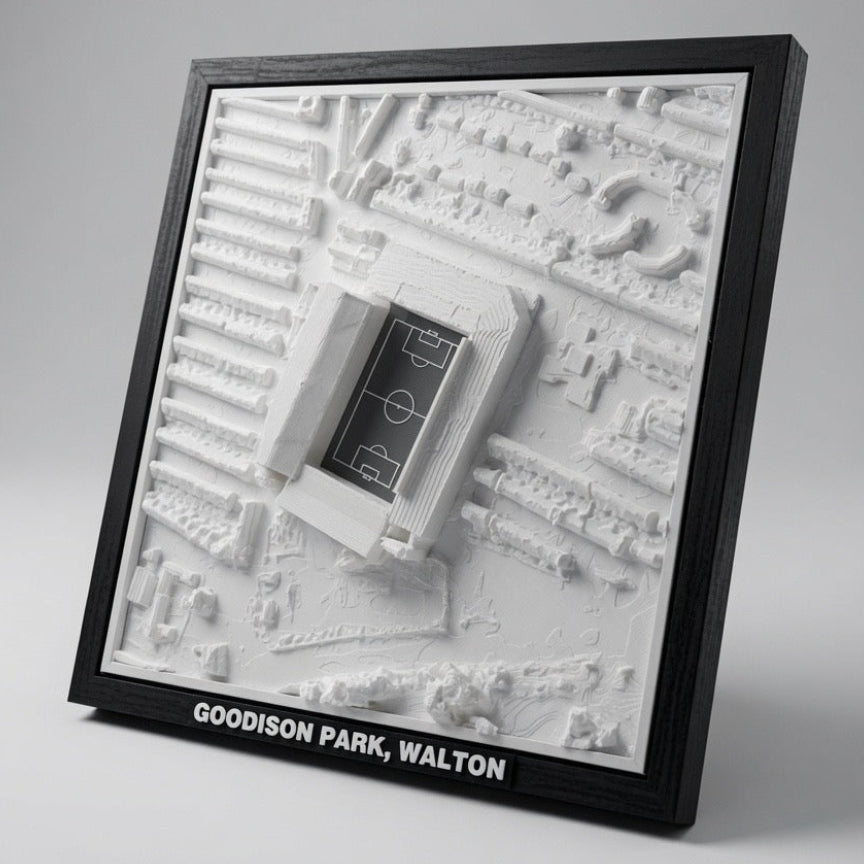 Goodison Park 3D Map Artwork