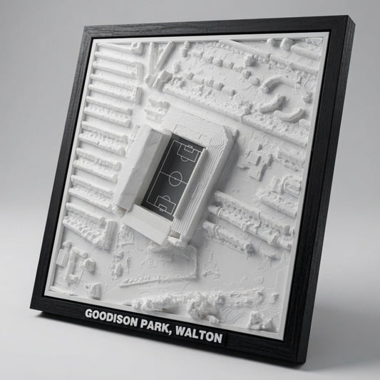 Goodison Park 3D Map Artwork