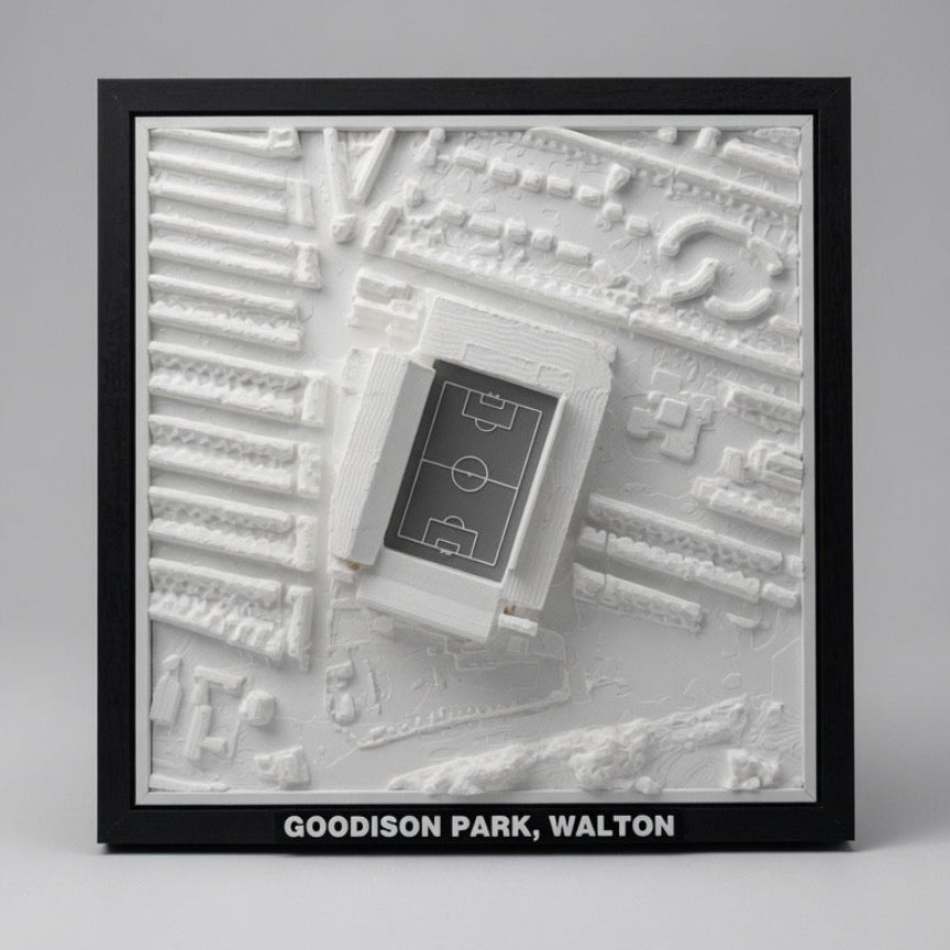 Goodison Park 3D Map Artwork
