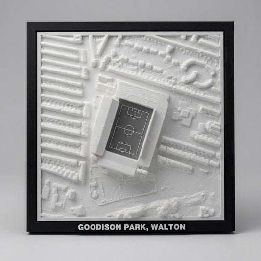 Goodison Park 3D Map Artwork