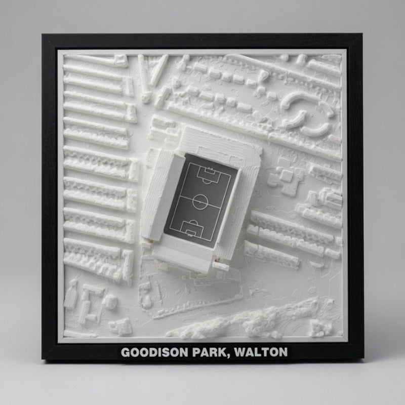 Goodison Park 3D Map Artwork