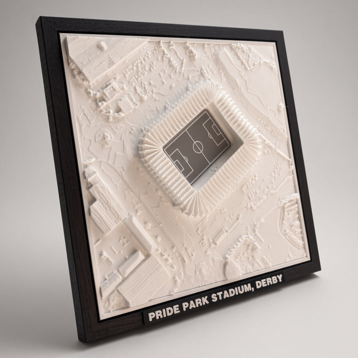 Pride Park Stadium 3D Map Artwork